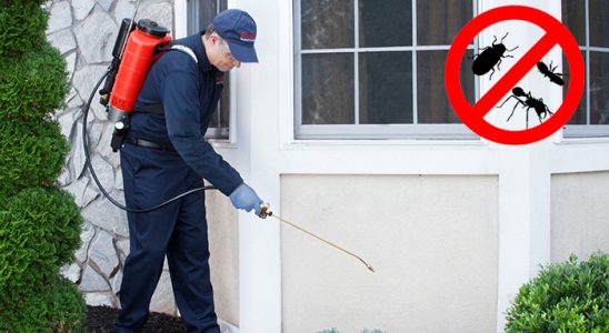 Mamak Bit İlaçlama böcek ilaçlama ve haşere kontrolü — ilaclama-tr.com